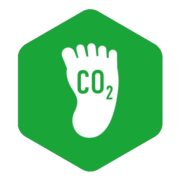 CO2Icon